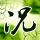 办理高仿西新墨西哥大学学位证【degxx.com】
